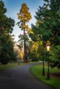 Vintage street lamps lit at evening in Farmleigh Phoenix Park, Dublin