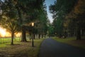 Vintage street lamps lit at sunset in Farmleigh Phoenix Park., Dublin