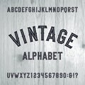 Vintage style alphabet vector font. Letters and numbers on the light wooden background.