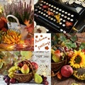 Vintage style autumn collage Royalty Free Stock Photo