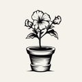 Vintage Style Black And White Petunia Flower Pot Drawing Royalty Free Stock Photo