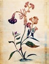 Vintage Style Botanical Flower Wall Art in rich colors