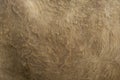 Vintage style brown cow fur background Royalty Free Stock Photo