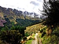 Mountain View New Zealand Seasonal Trees Royalty Free Stock Photo