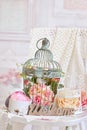 Vintage style decoration with flowers in old bird cages Royalty Free Stock Photo