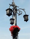 vintage style design of a wrought iron street lamps with tiger sculpture