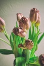 Vintage style faded bunch tulips flowers