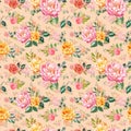 Shabby chic watercolour floral seamless pattern. Hand painted pink and yellow flowers on pink beige background. Botanical print Royalty Free Stock Photo