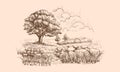 Vintage-style hand-drawn landscape with large tree, stone wall, hills, forest, peaceful countryside scene grassy fields Royalty Free Stock Photo