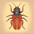 Vintage-style Illustration Of Dark Orange Beetle