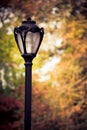 Autumn Lamp post