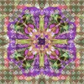 MANDALA FLOWER. TEXTURED IMAGE. ABSTRACT BACKGROUND. CENTRAL FLOWER IN PURPLE, VIOLET, PINK, GREEN
