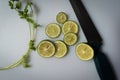 Style old salad with vegetables ingredients isolated on a plate Royalty Free Stock Photo