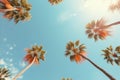 Vintage style palm trees and blue sky view from tropical beach, summer travel background Royalty Free Stock Photo