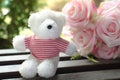 Vintage style photo of Teddy bear