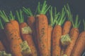 Vintage style rustic carrotts Royalty Free Stock Photo