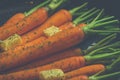 Vintage style rustic carrotts Royalty Free Stock Photo