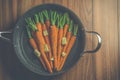 Vintage style rustic carrotts on wood Royalty Free Stock Photo