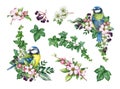Vintage style spring season decor set with birds and flowers. Watercolor illustration. Hand drawn blue tit bird, garden
