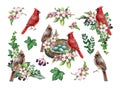 Vintage style spring season decor set with garden bird and flowers. Watercolor illustration. Hand drawn red cardinal Royalty Free Stock Photo