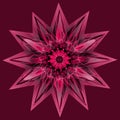 STAR MANDALA. PLAIN BLACK BACKGROUND. CENTRAL LINEAR DESIGN . MONOTONE MOTIVE IN BURGUNDY