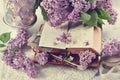 Vintage style still life with old books and purple lilac blossoms with color effect Royalty Free Stock Photo