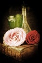 Vintage style still life with roses Royalty Free Stock Photo