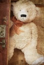 Vintage-style teddy bear and old suitcase Royalty Free Stock Photo