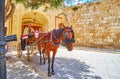 Vintage style tour along the streets of Mdina, Malta Royalty Free Stock Photo