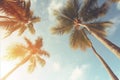 Vintage style tropical beach and palm trees viewed from below with blue sky, summer background Royalty Free Stock Photo