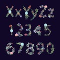 Vintage Style Vector Floral Alphabet with Uppercase and Lowercase Letters