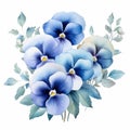 Watercolor Blue Pansy Flowers On White Background Vector Illustration Royalty Free Stock Photo