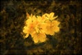 Vintage Style Yellow Apricot Blossom Flowers Background