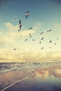 Vintage stylized flying birds above a beach at sunset Royalty Free Stock Photo