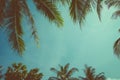 Vintage stylized palm trees with copy-space