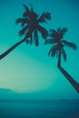 Vintage stylized palm trees on tropical beach