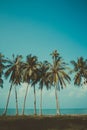 Vintage stylized palm trees