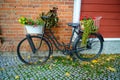 Vintage stylized photo of Old bicycle carrying flowers as decoration. On the wall of an old building Royalty Free Stock Photo