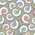 Vintage stylized spiral shells seamless pattern