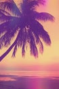 Vintage stylized tropical beach