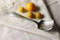 VINTAGE SUGAR SPOON WITH SOME SMALL YELLOW FRUIT