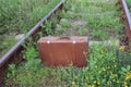 Vintage suitcase on the old rusty railroad tracks overgrown with grass and flowers Royalty Free Stock Photo