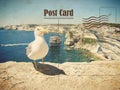 Vintage summer postcard. seagull and limestone cliffs