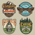 Vintage summer recreation colorful logos