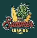 Vintage summer surfing colorful label