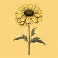 Vintage Sunflower Painting On Yellow Background - Marguerite Blasingame Style Royalty Free Stock Photo