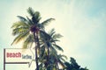 Vintage surf beach signage and coconut palm tree on tropical beach blue sky Royalty Free Stock Photo
