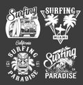 Vintage surf monochrome emblems