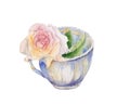 Vintage tea cup with pink rose flower. Retro watercolor illustration isolated on white background. Shabby chic style.