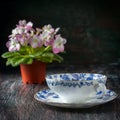 Vintage teacup and saucer, close up on a dark wooden background Royalty Free Stock Photo